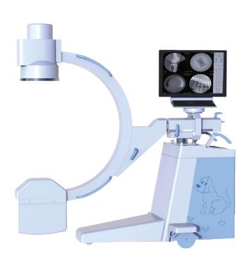 動物dr怎么選？看哪些要素