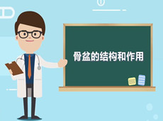 【醫療科普】:你知道骨盆在人體中有什么作用嗎?